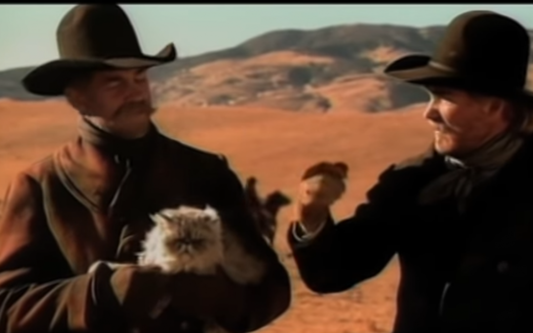 Cat Herding, “I Wouldn’t Do Nothing Else”