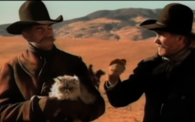 Cat Herding, “I Wouldn’t Do Nothing Else”